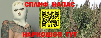jwh Будённовск
