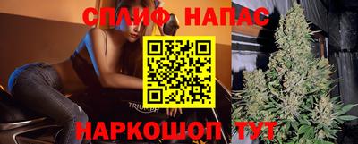 jwh Будённовск