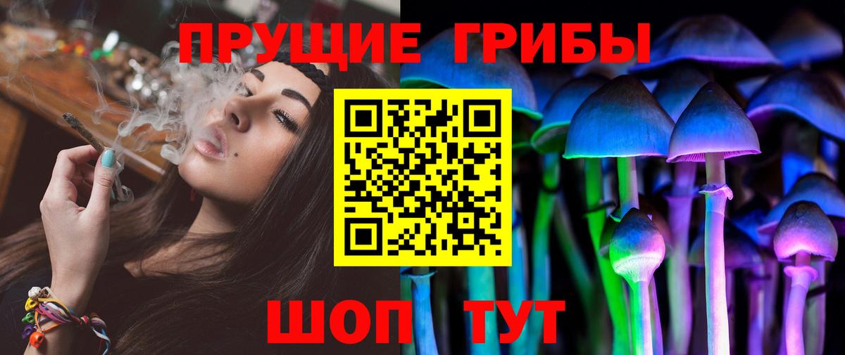 Галлюциногенные грибы Cubensis Рузаевка